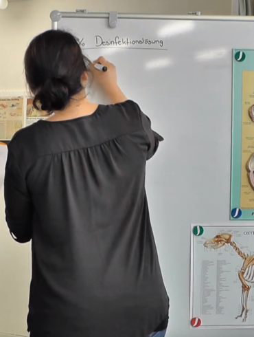 Videocontent Imagevideo Bildung Online Werbeagentur Zürich Kommunikation