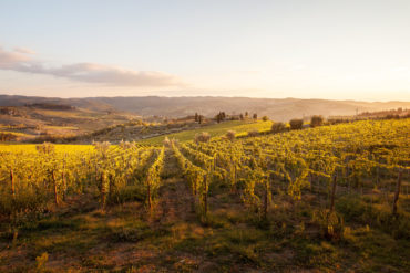 E-Mail-Marketing Marketingstrategie Online Newsletter Kommunikation Zürich Agentur