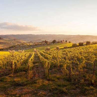 E-Mail-Marketing Marketingstrategie Online Newsletter Kommunikation Zürich Agentur