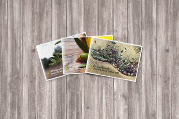 Booklet Broschüre Corporate Publishing Corporate Communication Grafikdesign Konzeption